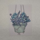 ACEO Limited Edition Print Art by Erica Henry - Hanging Succulent - 2.5" x 3.5" — photo 5