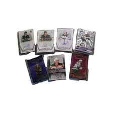 Upper Deck Hockey NHL Minnesota Wild Lot 7 Rookie RC Parallel Insert Young...