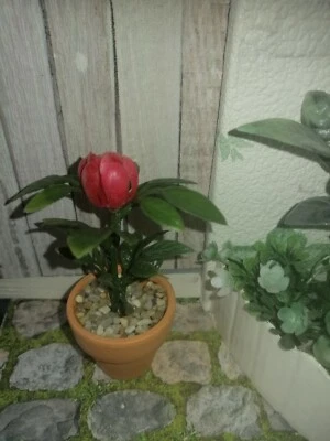 "große" rot-rosa Kospe,(Kunststoff/)Tontopf,Blumentopf, Miniatur-Zimmerpflanze - Bild 1 von 2