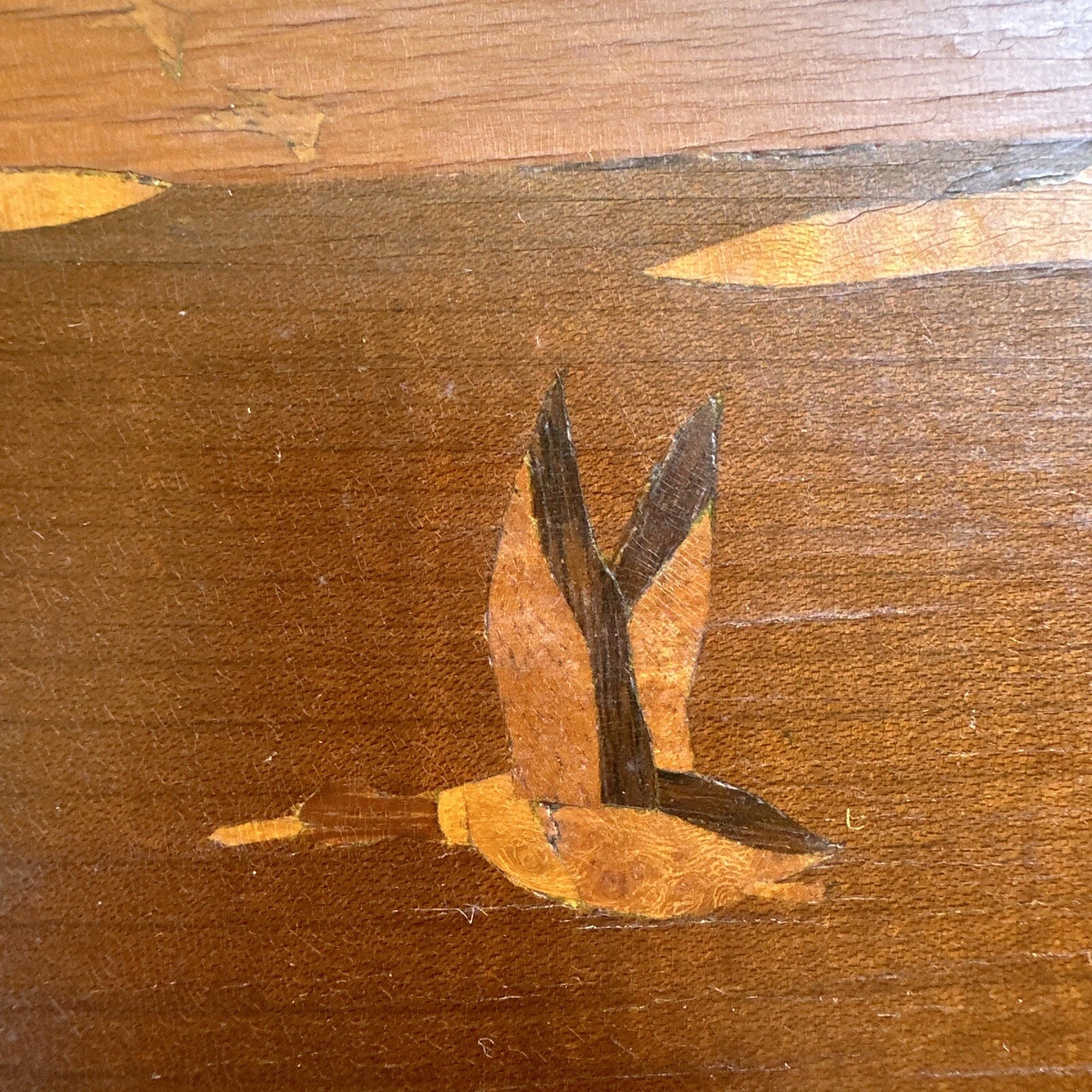 Picture 8 of 21