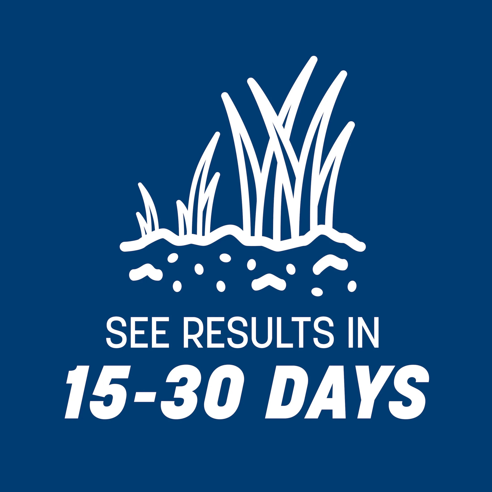 Kentucky Bluegrass Northern Grass Seed Mix, for Sun to Partial Shade, 7 Lb.