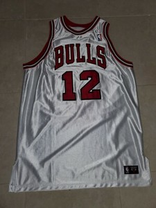 kirk hinrich jersey