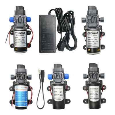 Water High Pressure Diaphragm Water Pump DC 12V 24V Self Priming Pump Irrigation