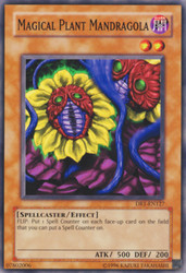 Magical Plant Mandragola MFC-072 Common Unlimited Magician's Force