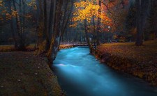 Landscape park dark fall trees long exposure river Custom Gaming Mat Desk