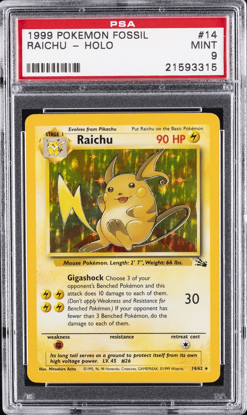 Raichu #14