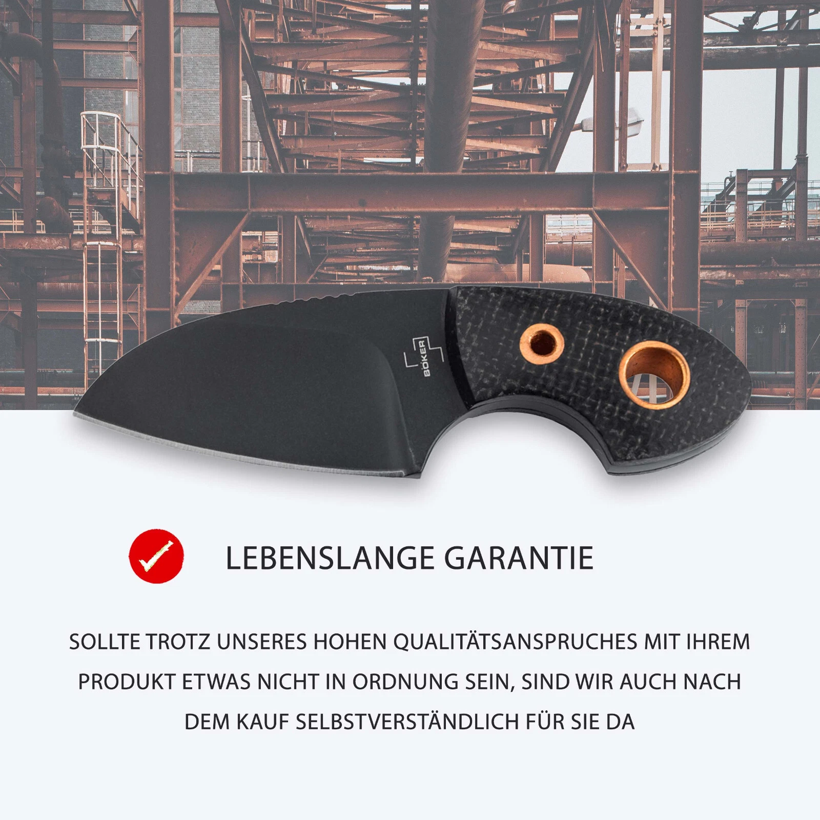 Bild 8 von 22