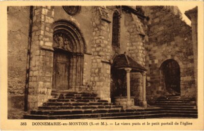CPA DONNEMARIE-en-MONTOIS Alter Brunnen und kleines Kirchenportal (1329509)