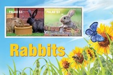 Palau 2020 - Rabbits Mammal Animals - Souvenir Stamp Sheet - Scot #1463 - MNH