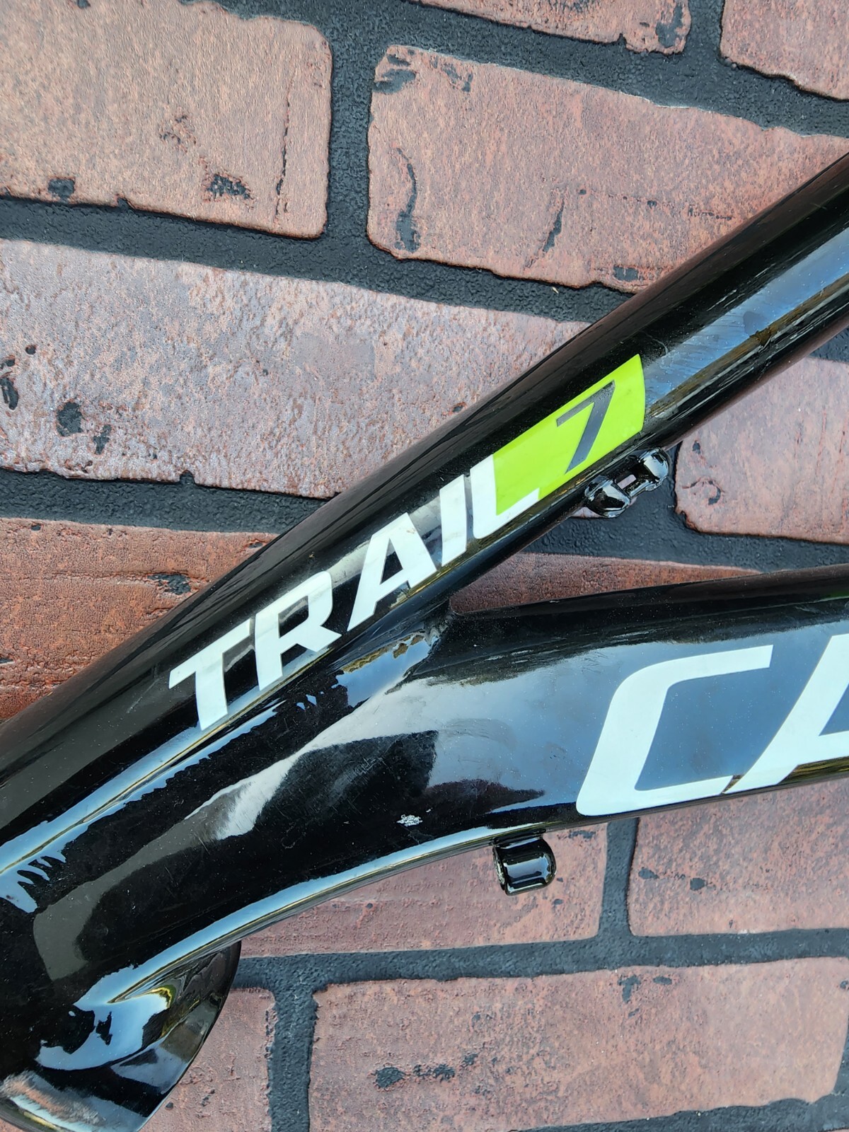 women's 29er mountain bike