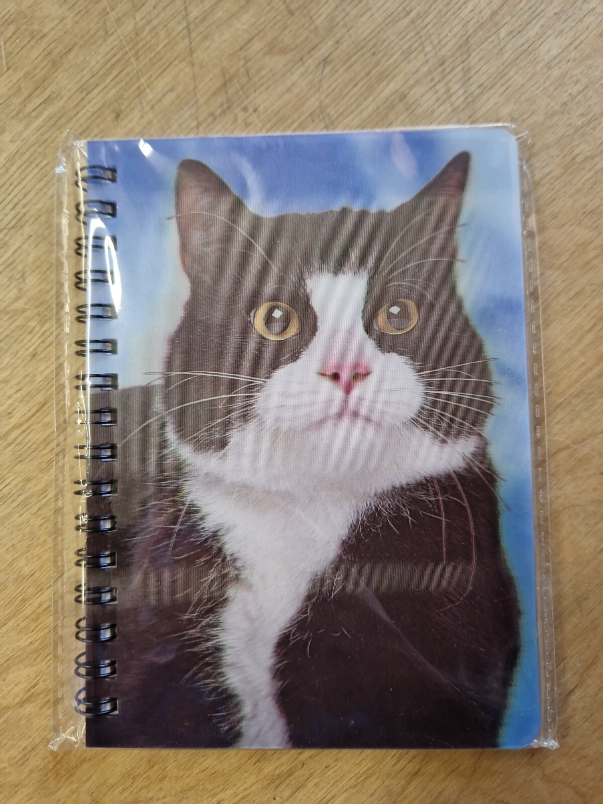 Black & white Cat notebook Black cats Notebooks lined A6 Notepad notepads feline