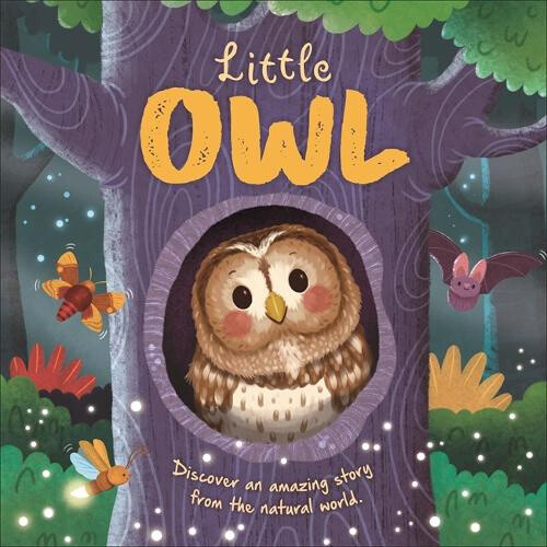 Little Owl (illustrated story about the life-cycle of an owl An)
