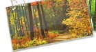 Bild 55 von 67