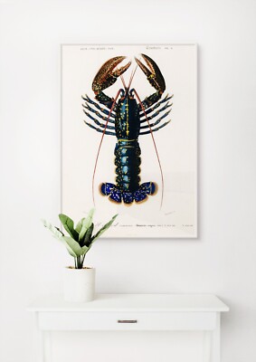 Charles Dessalines D' Orbigny: Crimson Crawfish. Kunst Giclée Museum Geschenk Druck