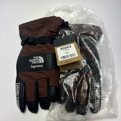 Supreme X the North Face Ski Glove Brown m Dark Park Neu OVP