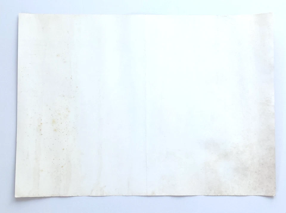 Kamen Rider Cyclone Banpresto Promo Poster Rare Vintage Japan Not for Sale - Image 2 of 4