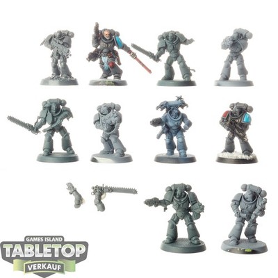 Space Wolves - 10 x Intercessors - teilweise bemalt