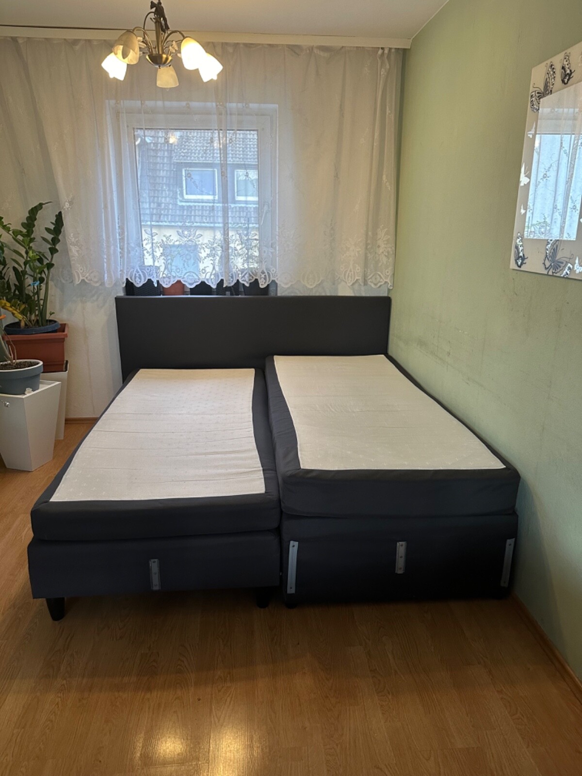 Bild 2 von 2