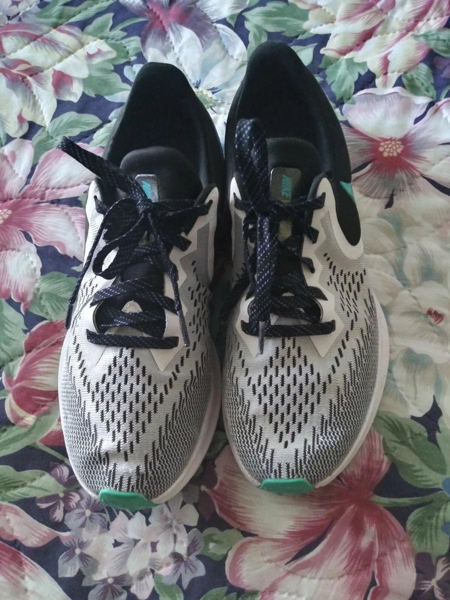 Nike Zoom Winflo 6 SE Platinum White | eBay display picture 1