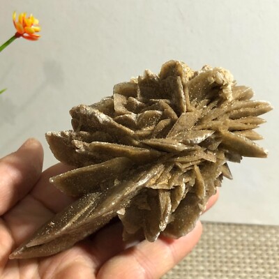 218g Delicate Desert Rose Crystal h12