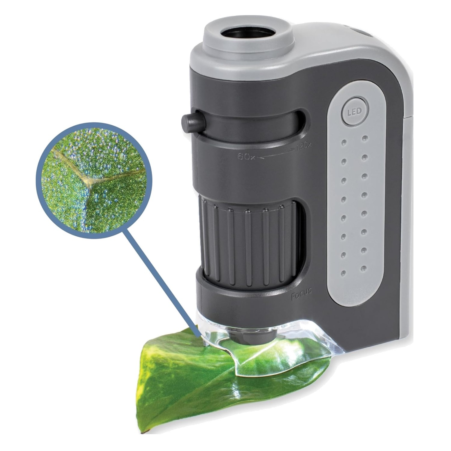 Mini Pocket Microscope with 60-120x Magnification & LED for Outdoor Exploration