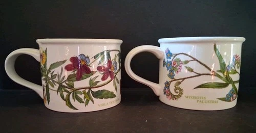Portmeirion Botanic Garden Pair Of Cups Mugs 'Viola' and 'Forget Me Not '