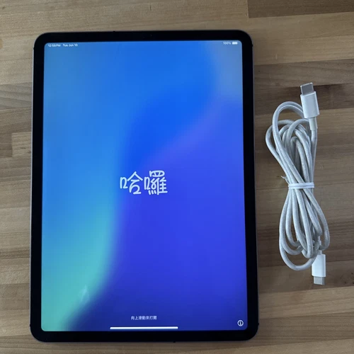 Apple iPad Pro 11" (1st Gen), 64GB, Gray, MU0T2LL/A - cracked screen 