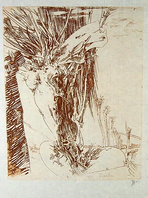 Horst Janssen 1929 Hamburg/etching, autographed/head willow/1985