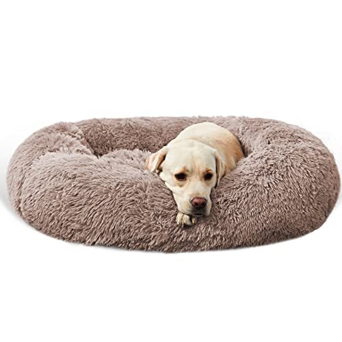 kong cuddler dog bed large