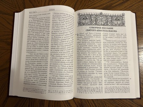 BIBLE Russian New Testament Psalms Новый Завет и Псалтирь 2013 - Picture 14 of 16