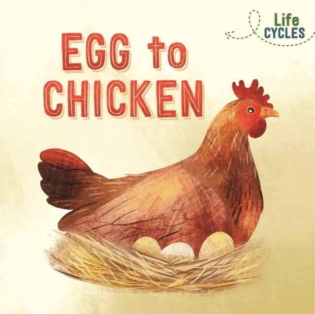 Life Cycles: Egg to Chicken by Rachel Tonkin (Paperback Book)