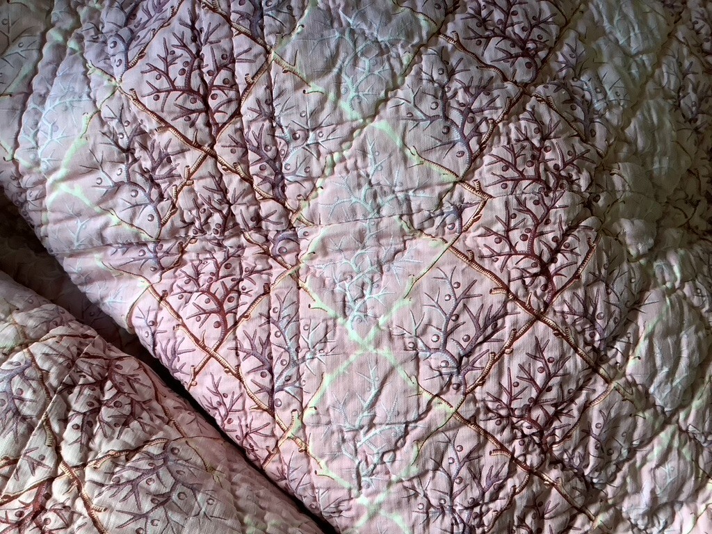 Picture 14 of 17