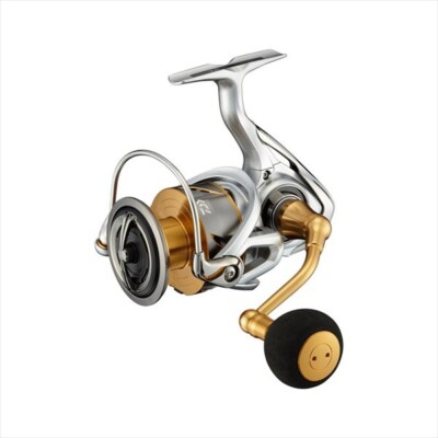 Daiwa 21 FREAMS LT6000D-H Spinning Reel Ship from Japan