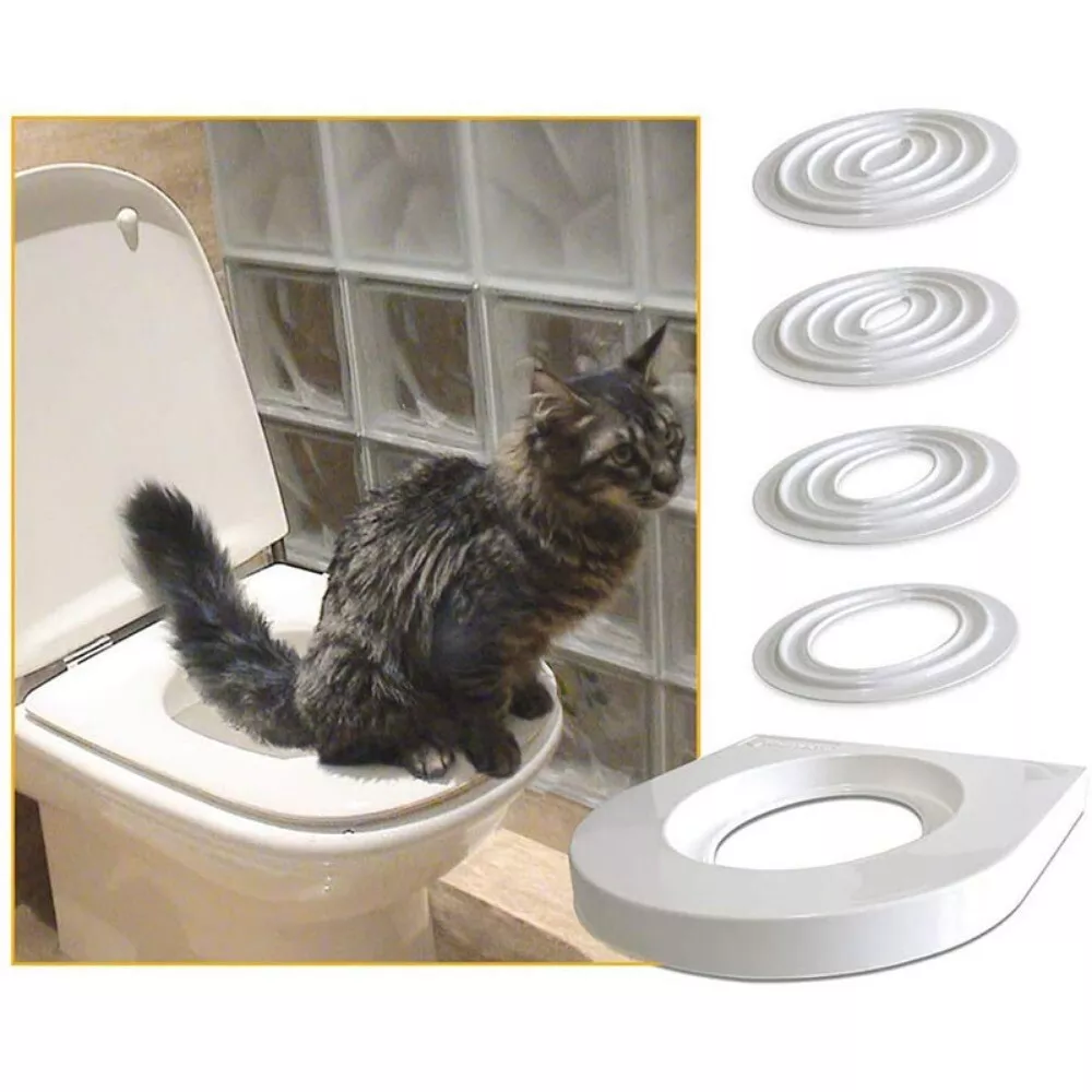 Litter toilet 2024
