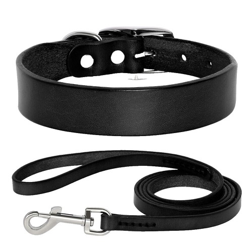Taktisches Hundehalsband Mit Griff – Verstellbar, Nylon, Robuste Metallschnalle Für Training