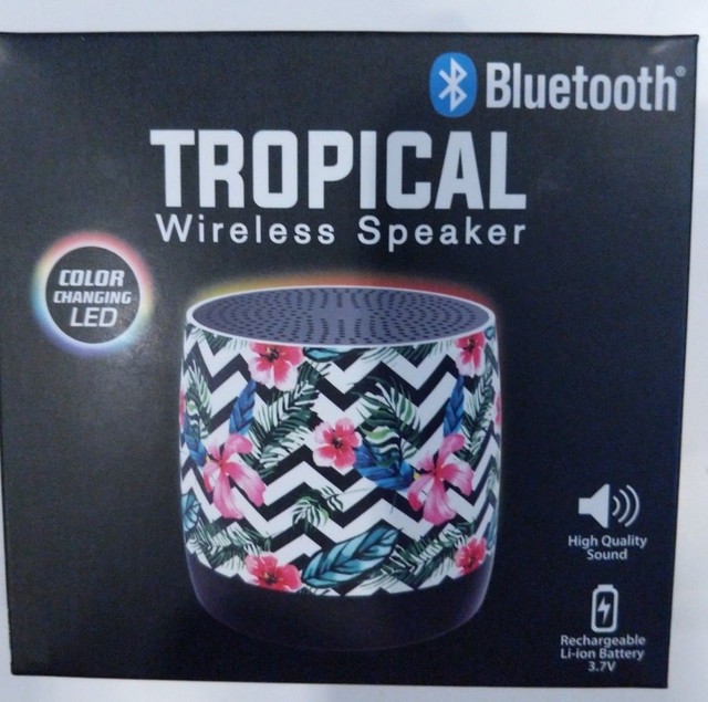 bass jaxx flame speaker