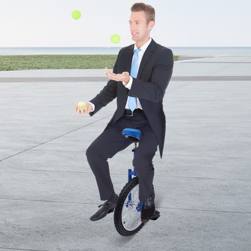 Wheel Outdoor Sports Unicycle 24" Adjustable Seat Exercise Bicycle Fitness Bike