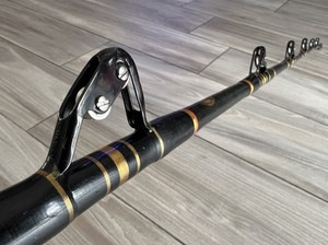 Penn International Rod | eBay