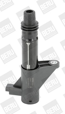BorgWarner (BERU) Zündspule ZS347 für PEUGEOT RENAULT LAGUNA C5 407 C6 CLIO 406