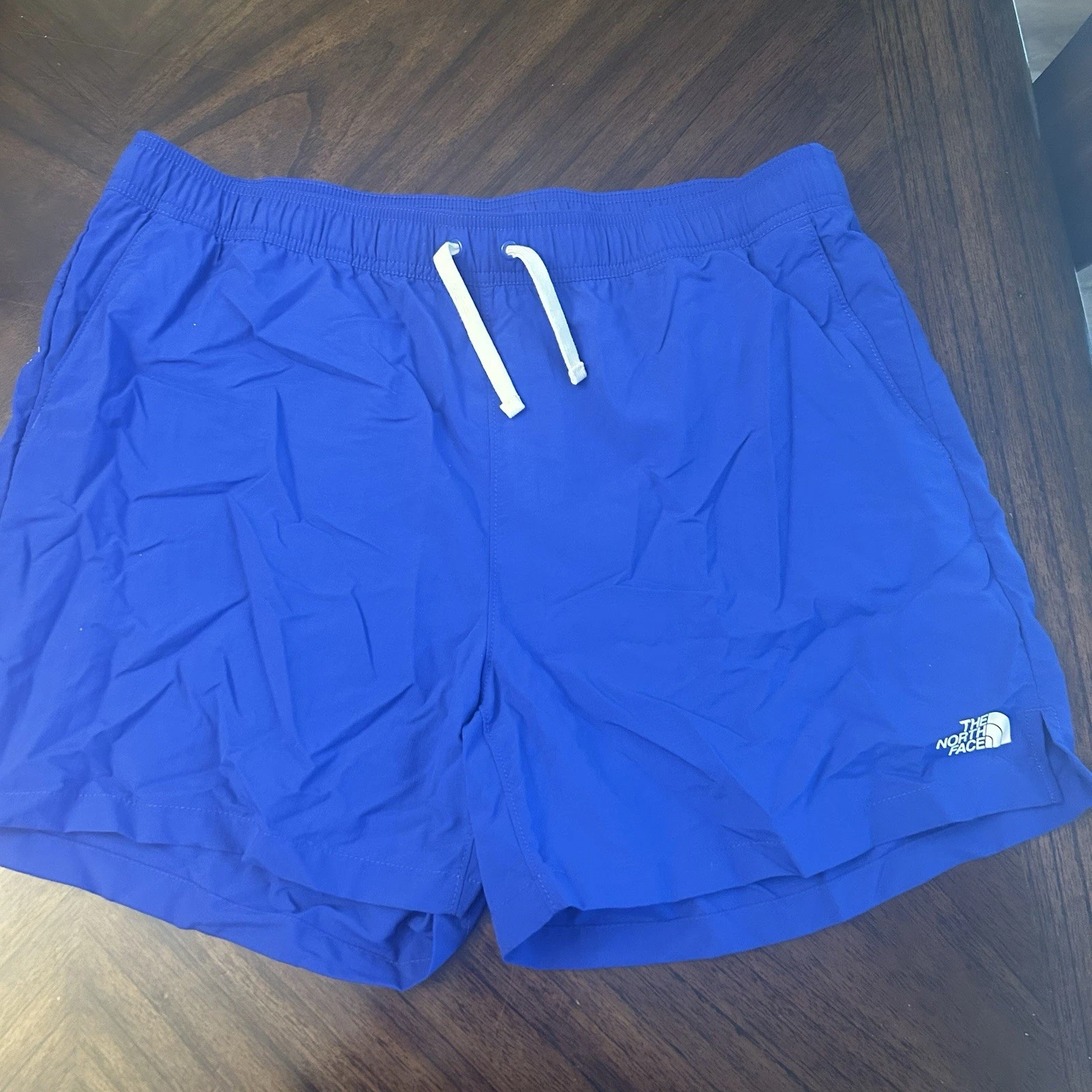 The North Face Mens Size L Action Shorts 2.0 5" Inseam Blue Flash Dry