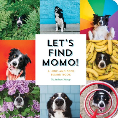 Andrew Knapp | Let's Find Momo! | Buch | Englisch (2017) | Kinder-Pappbuch
