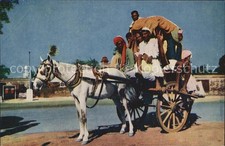 Horse Carriages Yekka Horse Carriage