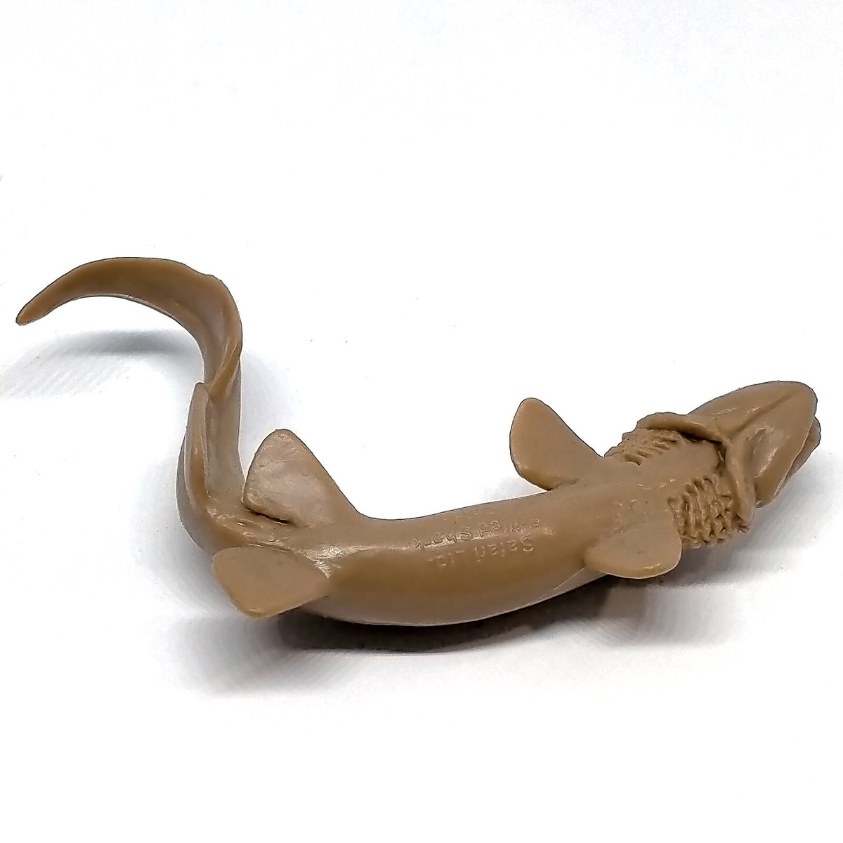 Prehistoric Crocodiles / Sharks / Sea Life / Cambrian Safari Ltd