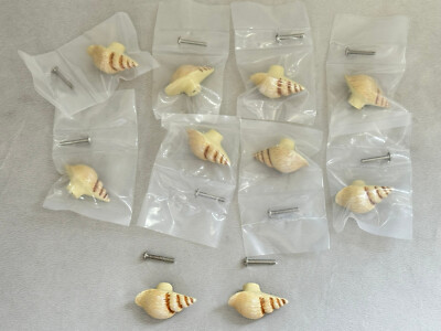10 x Schrank Schubladenknöpfe Griffe Schneckenhaus Fossil Conchologe