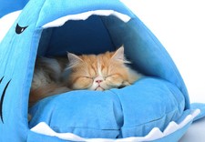Shark Dog Cat Pet Canopy Teepee Tent House Bed Kennel With on-sale Cooling Pad-M