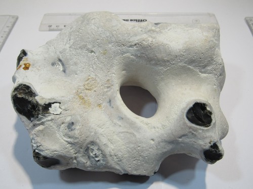 S208 Hühnergott Loch Feuerstein Flint mit Kreide 17x13x7cm 1,7Kg Normandie rar