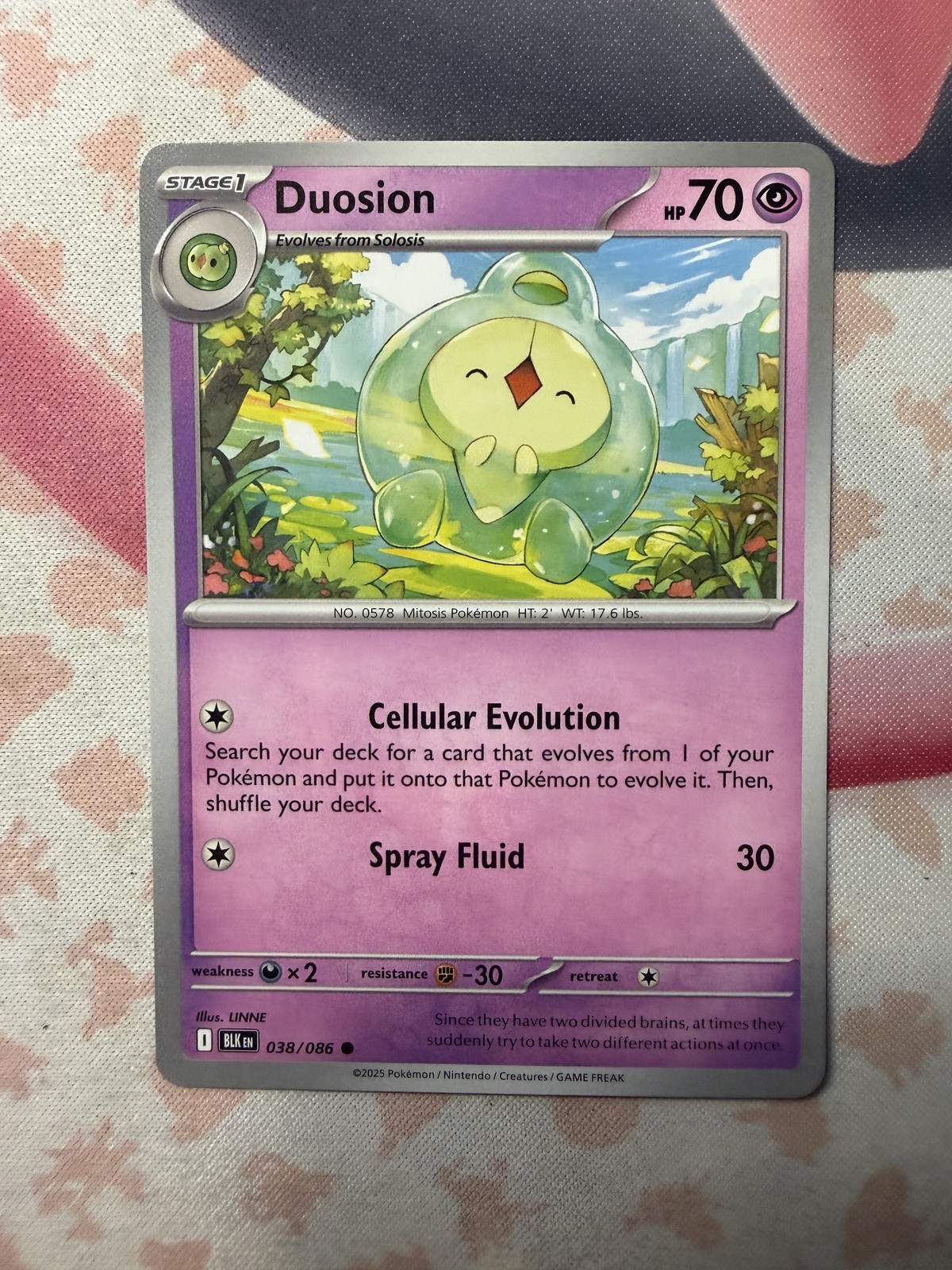 Duosion Common SV: Black Bolt 038/086 NM English Pokemon Card