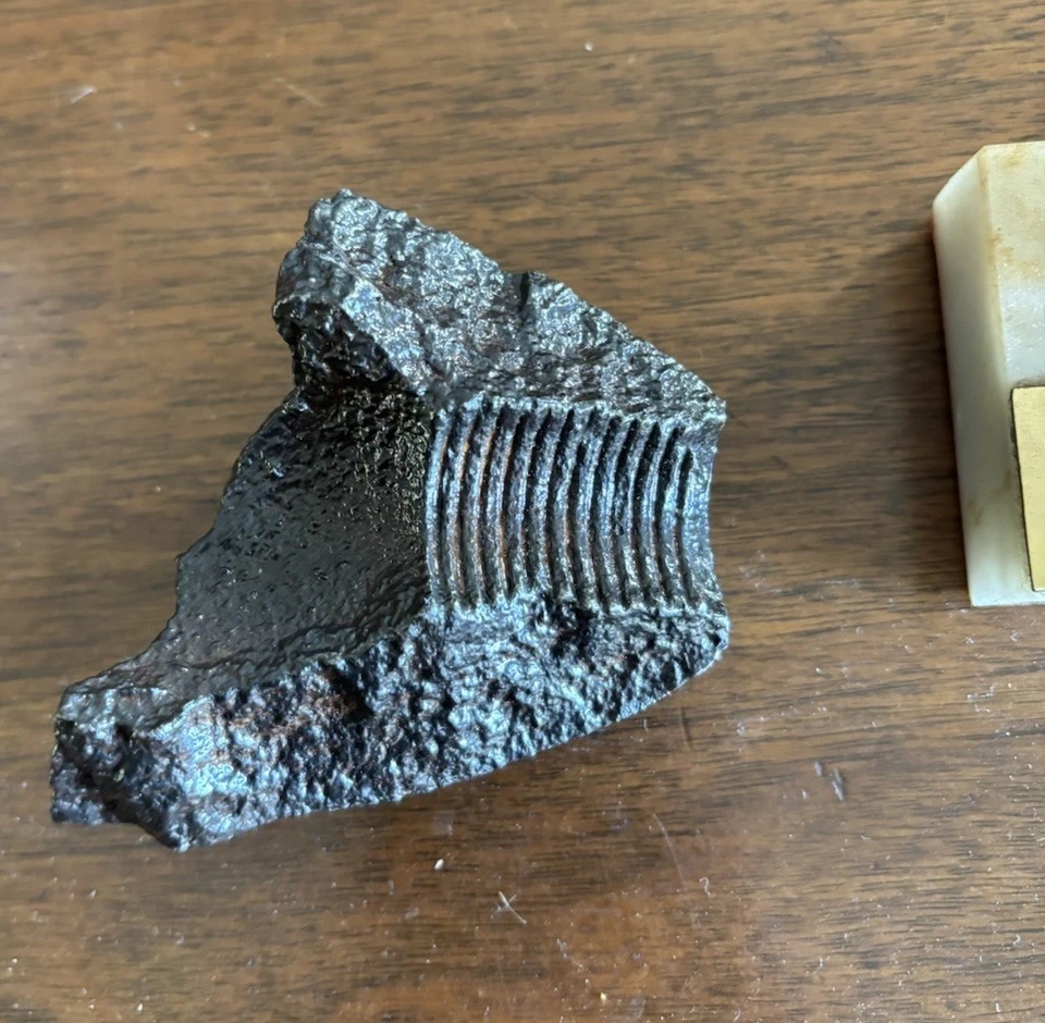 Реликвии гражданской войны вырытая буковая роща Теннесси оригинальный лот антиквариата - Изображение 3 из 4