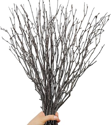 30Pcs Real Dried Birch Twigs - 17  Decorative 100% Natural 30, Brown 