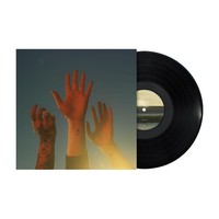 Boygenius 'The Record' LP Schwarz Vinyl